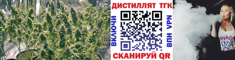 ТГК концентрат  продажа наркотиков  Галич 