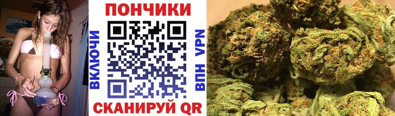закладки  Галич  Бошки Шишки индика 